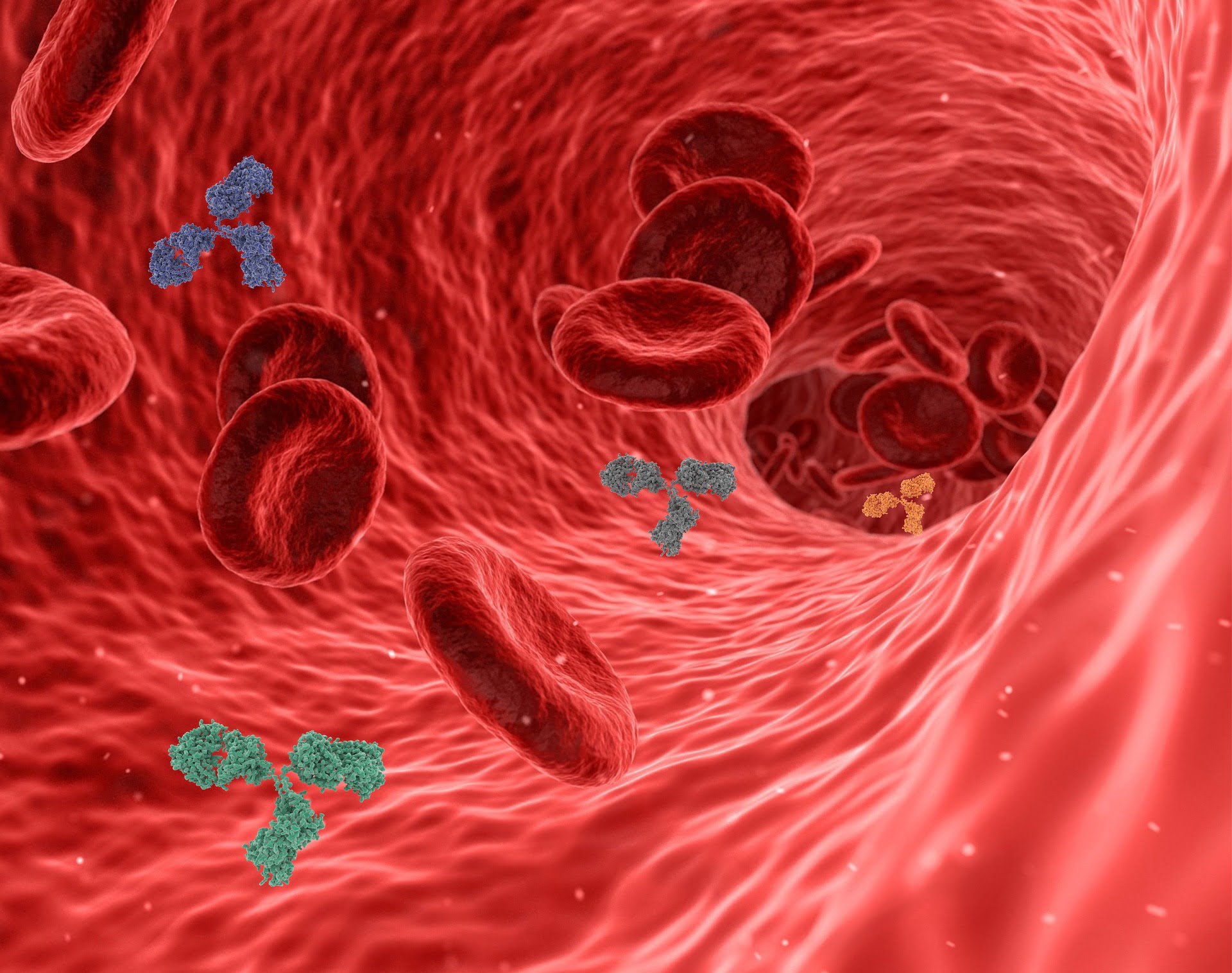 capillary-vascular-capillary-vascular-treatment