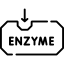 enzyme peeling icnc 1