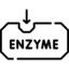 Enzyme Peeling Icnc