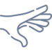 Thulium Lazer 15 hand thulium 1
