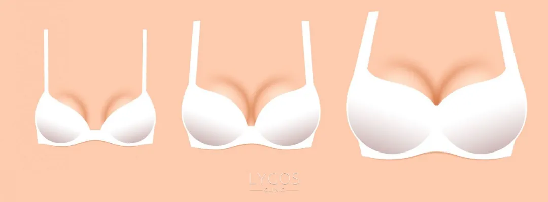 Bra Sizes