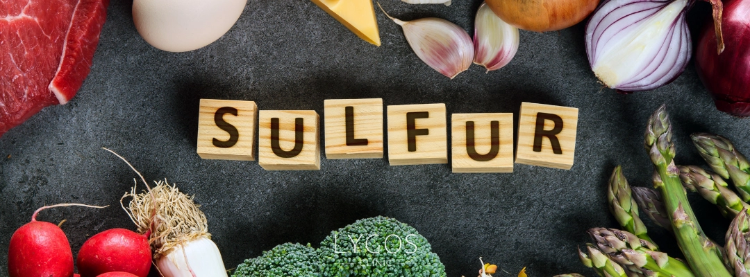 What are the Foods Containing Sulfur?