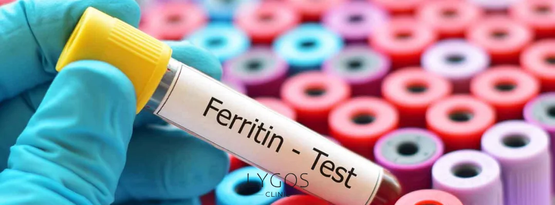 What is Ferritin? | What Causes High and Low Ferritin Levels? 2 What is Ferritin?