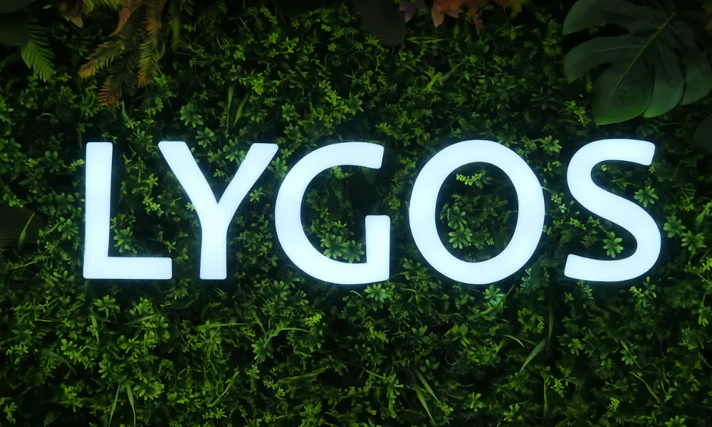 lygos