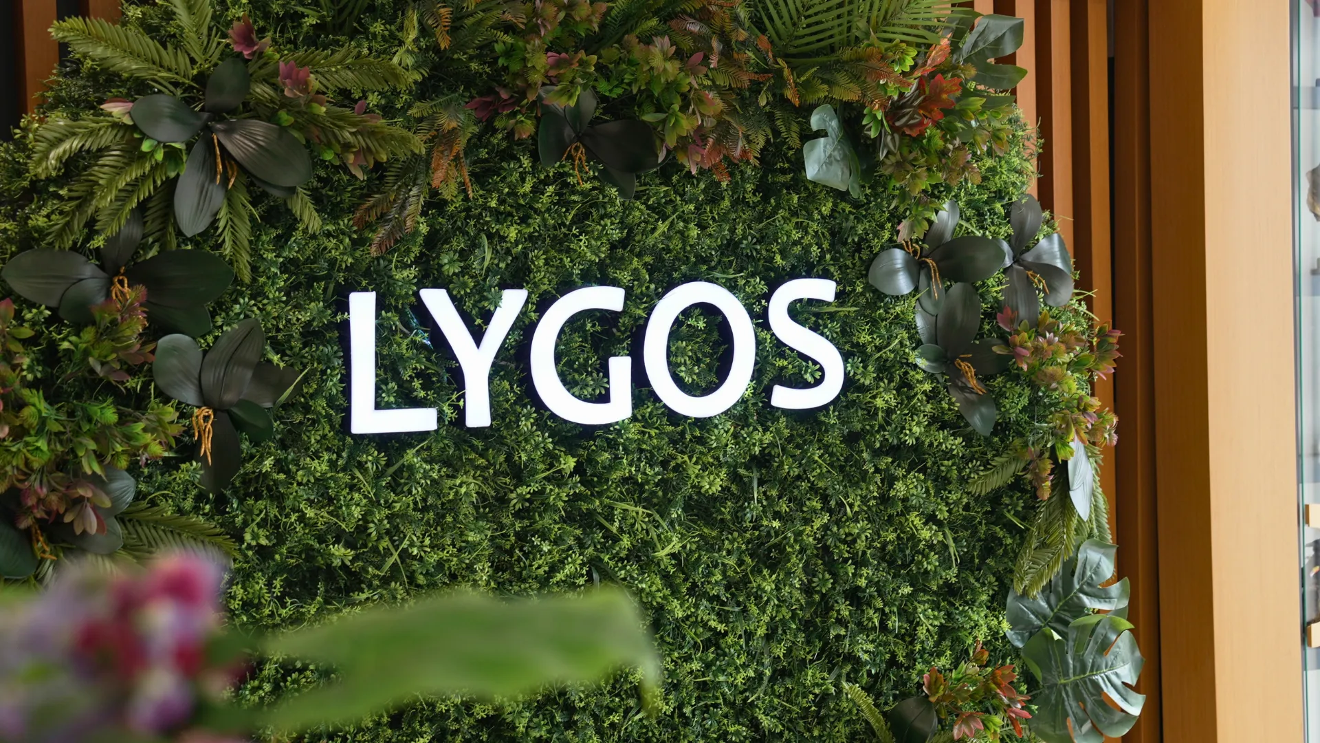 lygos art in esthetics banner l